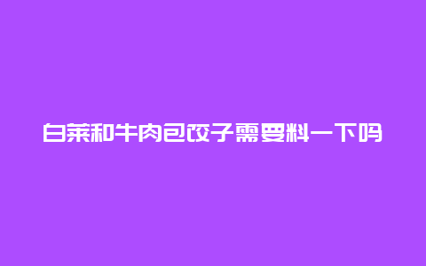 白莱和牛肉包饺子需要料一下吗，白莱牛肉馅包子做法