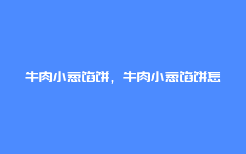 牛肉小葱馅饼，牛肉小葱馅饼怎么做