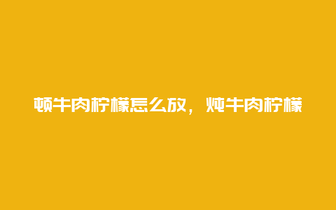 顿牛肉柠檬怎么放，炖牛肉柠檬怎么放