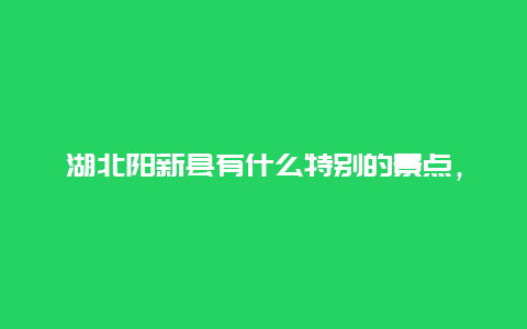 湖北阳新县有什么特别的景点，湖北省阳新有哪些旅游景点