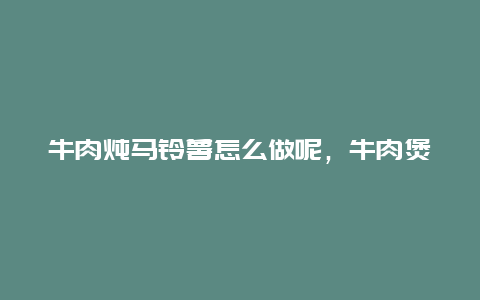 牛肉炖马铃薯怎么做呢，牛肉煲马铃薯做法大全