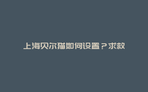 上海贝尔猫如何设置？求救