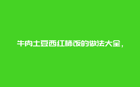 牛肉土豆西红柿饭的做法大全，西红柿土豆牛肉焖饭的做法