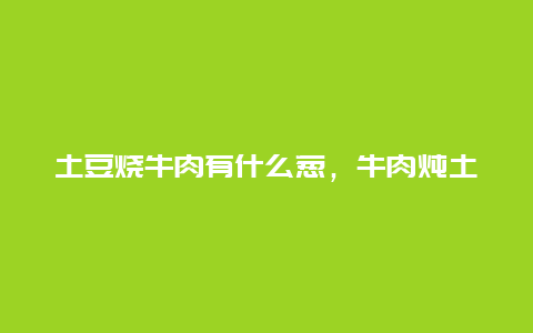 土豆烧牛肉有什么葱，牛肉炖土豆洋葱怎么做好吃