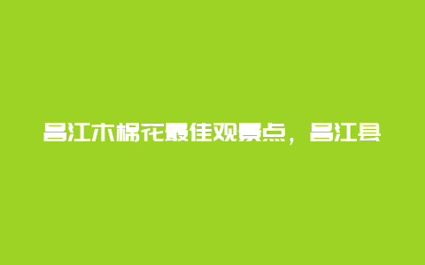 昌江木棉花最佳观景点，昌江县木棉公园位置在哪里