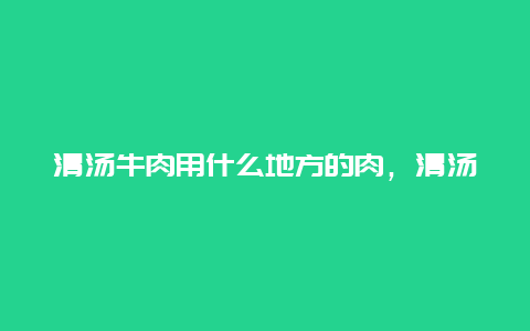 清汤牛肉用什么地方的肉，清汤牛肉用什么地方的肉好