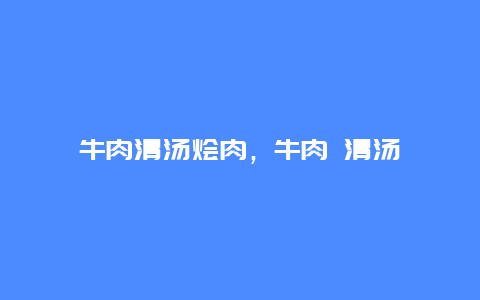 牛肉清汤烩肉，牛肉 清汤