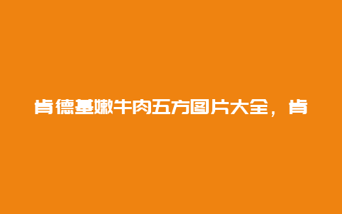 肯德基嫩牛肉五方图片大全，肯德基嫩牛五方多少钱一个