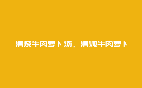 清烧牛肉萝卜汤，清炖牛肉萝卜汤