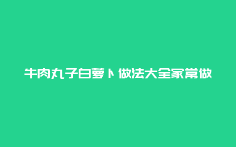 牛肉丸子白萝卜做法大全家常做法大全集，白萝卜肉丸子的做法白萝卜肉丸子汤