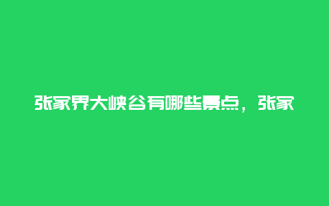 张家界大峡谷有哪些景点，张家界大峡谷风景区旅游攻略