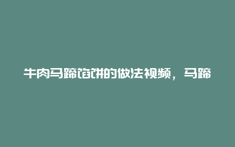 牛肉马蹄馅饼的做法视频，马蹄牛肉饼做法窍门