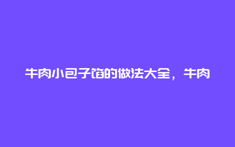 牛肉小包子馅的做法大全，牛肉包子馅儿的做法大全