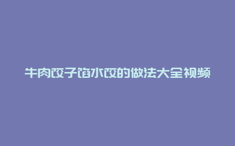 牛肉饺子馅水饺的做法大全视频，牛肉水饺子馅的做法牛肉包子馅的做法