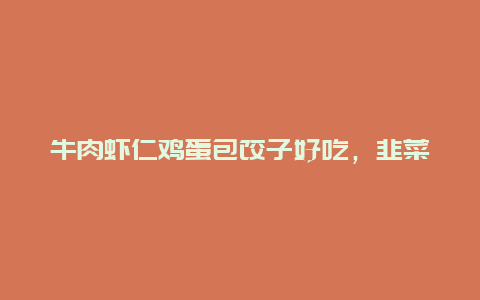 牛肉虾仁鸡蛋包饺子好吃，韭菜鸡蛋虾仁牛肉饺子馅的做法