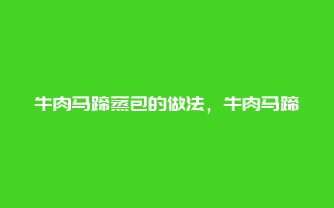 牛肉马蹄蒸包的做法，牛肉马蹄蒸包的做法视频