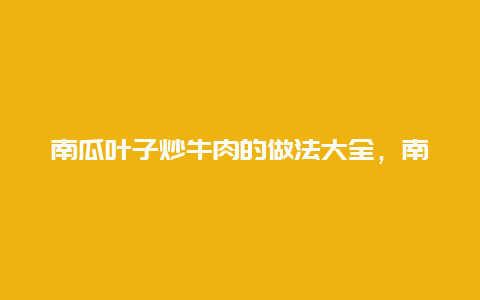 南瓜叶子炒牛肉的做法大全，南瓜炒牛肉怎么做好吃窍门