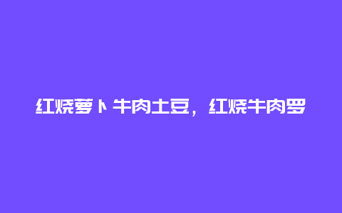 红烧萝卜牛肉土豆，红烧牛肉罗卜土豆