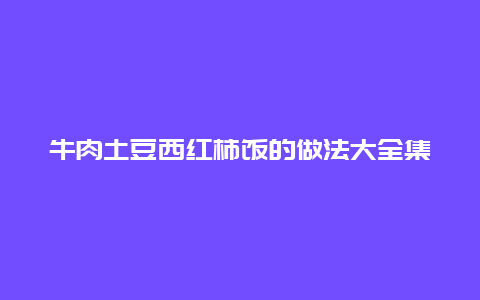 牛肉土豆西红柿饭的做法大全集，西红柿土豆牛肉焖饭的做法