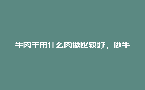 牛肉干用什么肉做比较好，做牛肉干用什么牛肉好