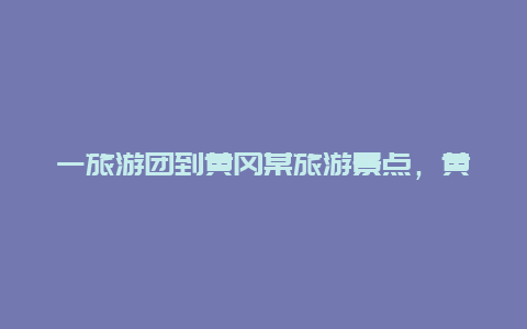 一旅游团到黄冈某旅游景点，黄冈两日游