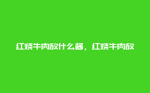 红烧牛肉放什么酱，红烧牛肉放什么酱好看