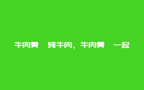 牛肉黄芪炖牛肉，牛肉黄芪一起炖的功效