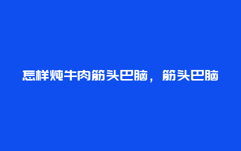 怎样炖牛肉筋头巴脑，筋头巴脑牛肉怎么炖