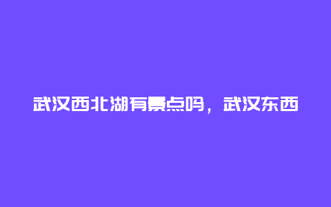 武汉西北湖有景点吗，武汉东西湖好玩的景点