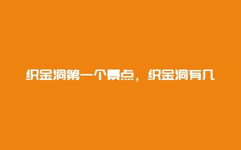 织金洞第一个景点，织金洞有几个景点