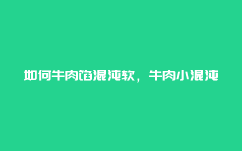 如何牛肉馅混沌软，牛肉小混沌馅的做法