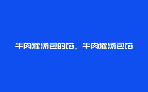 牛肉灌汤包的馅，牛肉灌汤包馅怎制作