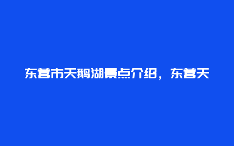 东营市天鹅湖景点介绍，东营天鹅湖景区门票