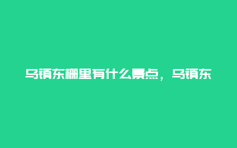 乌镇东栅里有什么景点，乌镇东栅里有什么景点吗