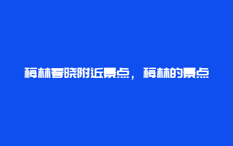 梅林春晓附近景点，梅林的景点