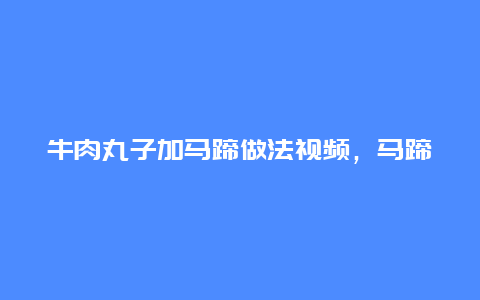 牛肉丸子加马蹄做法视频，马蹄牛肉丸的做法