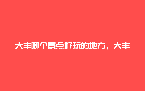 大丰哪个景点好玩的地方，大丰哪个景点好玩的地方多