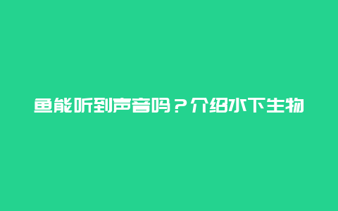 鱼能听到声音吗？介绍水下生物的听觉机制