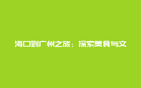 海口到广州之旅：探索美食与文化的旅程