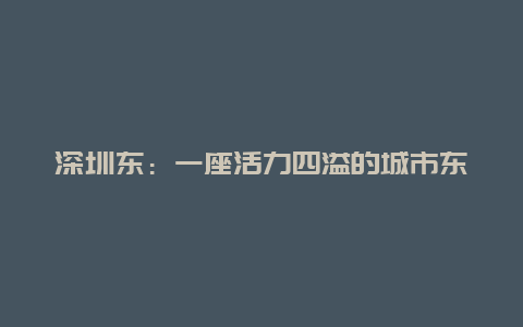 深圳东：一座活力四溢的城市东翼