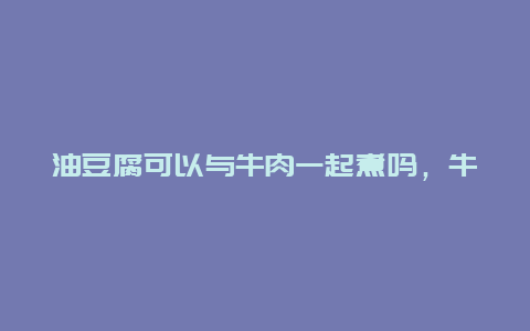 油豆腐可以与牛肉一起煮吗，牛肉和油炸豆腐能一起吃吗