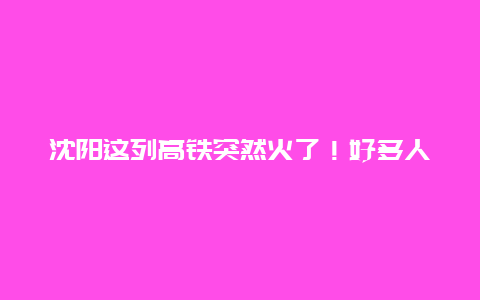 沈阳这列高铁突然火了！好多人跑去打卡，原因竟是……