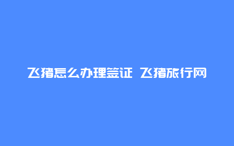 飞猪怎么办理签证 飞猪旅行网上订酒店靠谱吗？