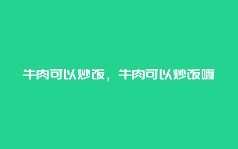 牛肉可以炒饭，牛肉可以炒饭嘛