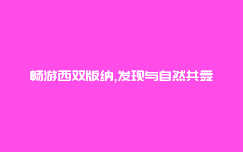 畅游西双版纳,发现与自然共舞的绝美景点攻略