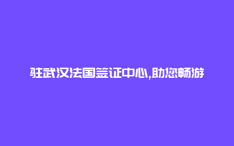 驻武汉法国签证中心,助您畅游欧洲体验法式浪漫申请签证无忧