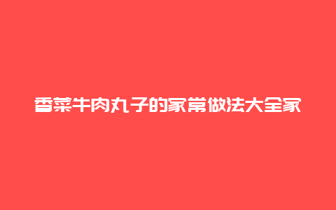 香菜牛肉丸子的家常做法大全家常做法大全，香菜牛肉丸子怎么做