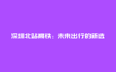 深圳北站高铁：未来出行的新选择