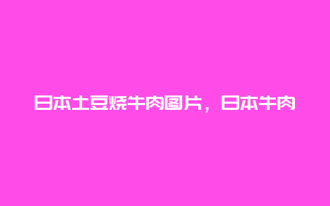 日本土豆烧牛肉图片，日本牛肉土豆料理