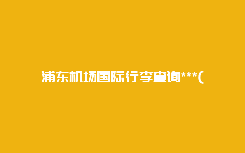 浦东机场国际行李查询***(哪位知道浦东机场能寄存行李吗？